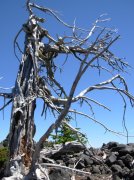 Summer '06 Sunriver II 057 